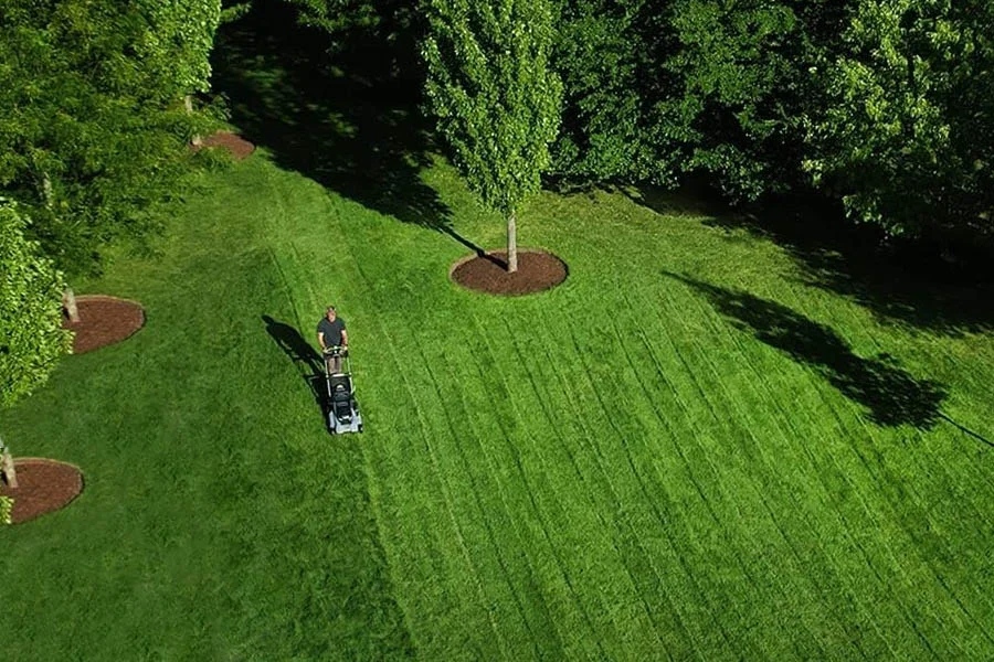 lawns mowers